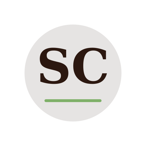 Silver Chimney Sweep logo